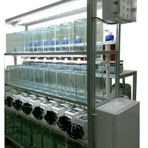 thmorgandl6000供應(yīng)商 臺(tái)灣其它dl6000國產(chǎn)