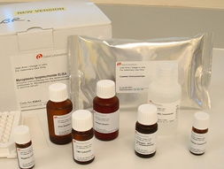 乳酸鋰867 55 0 供應產品 上海義森生物科技