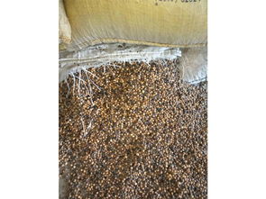 益生菌發酵大豆廠家,性價比高的受損大豆就在蔬香果語生物科技