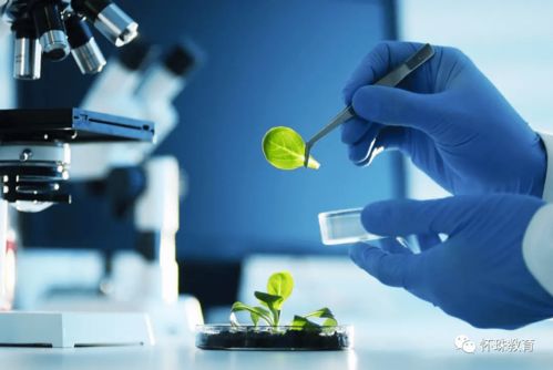 教育部統(tǒng)計數(shù)據(jù) 這8個專業(yè)的學(xué)生已經(jīng)嚴(yán)重飽和, 報考千萬要謹(jǐn)慎