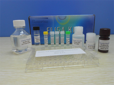 BCA Protein Assay Kit_煙臺基諾萊斯生物科技