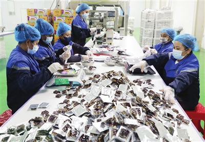 產業援疆變 輸血 為 造血