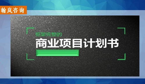 婁底電子商務項目計劃書專業策撰服務指南 找誰做更靠譜？